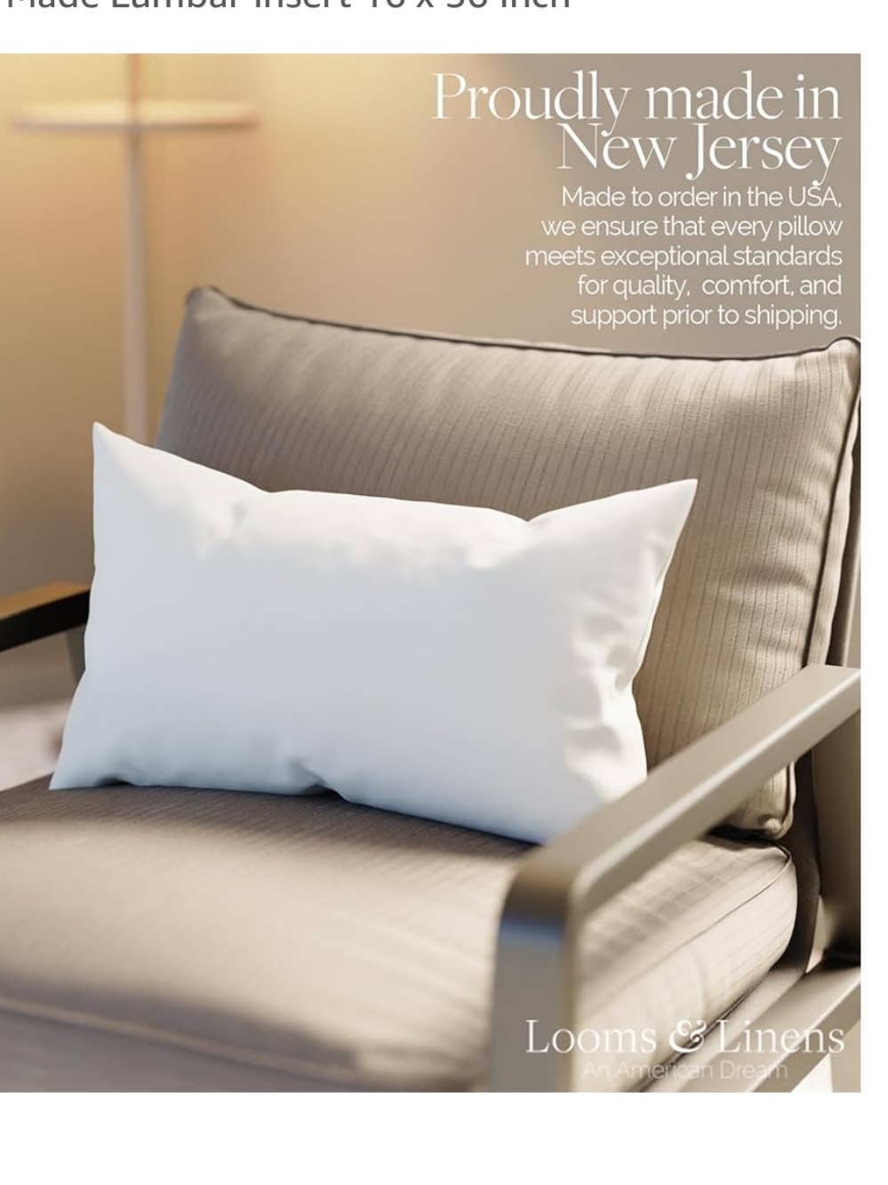 Lumbar Pillow Insert white back rests filling